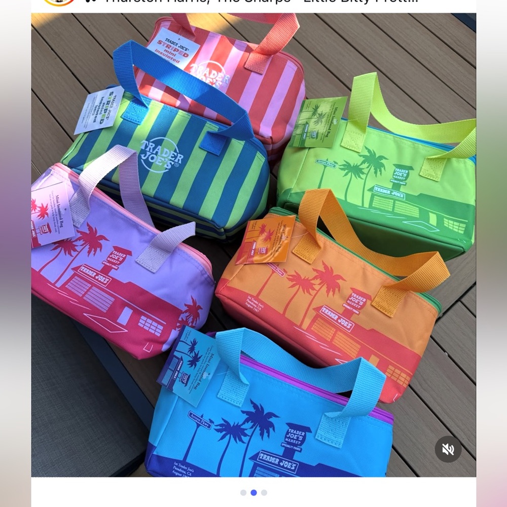 Trader Joe's Neon Cooler Bag - minis set of 6